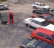 VideoIQ -- ���������������� ������������ ����������� ��������