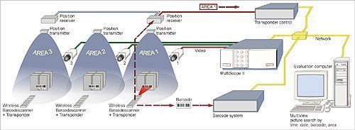 C������ ���������������